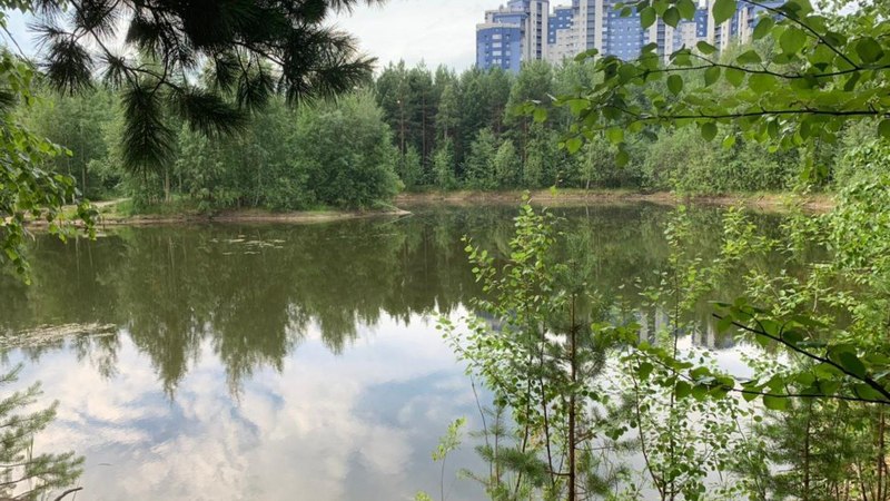 В Сургуте особое внимание уделяют мерам безопасности на водоёмах. Об этом рассказал начальник управления по делам ГО и ЧС городской администрации Андрей Рачёв на брифинге, пишет  URA.RU.

