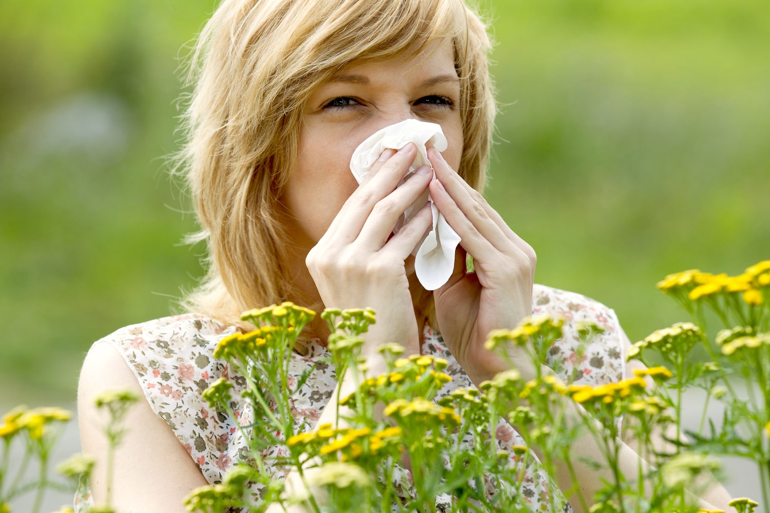 По оценкам различных экспертов, сезонным аллергическим ринитом при контакте с пыльцой растений страдают 10–25% россиян. Причиной является поллиноз: хроническое заболевание с воспалением слизистых оболочек глаз и дыхательных путей, преимущественно вер...